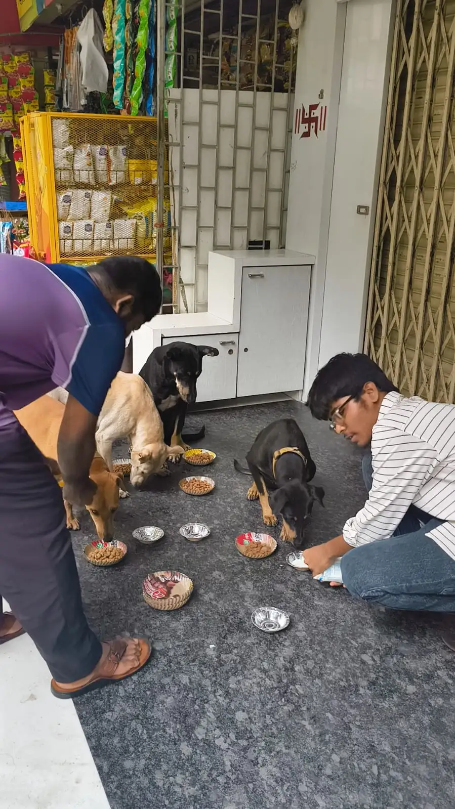 Saving Sarvahita team feeding hungry strays in Mumbai