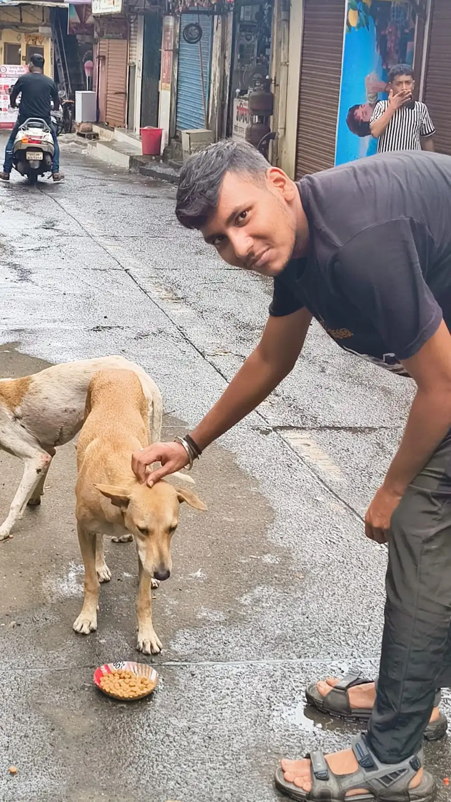 Interacting and caring for street animals with love